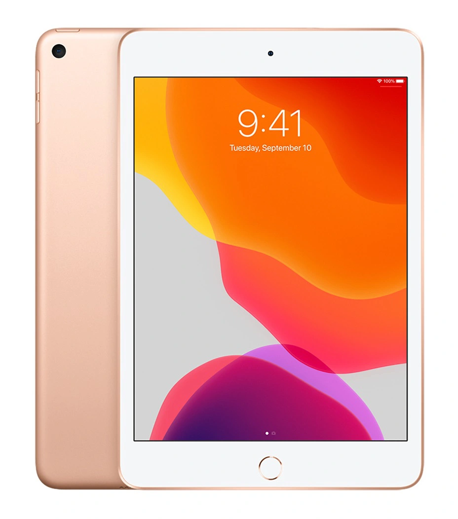 iPad Mini 5 (4G + Wifi) Chính Hãng Cũ
